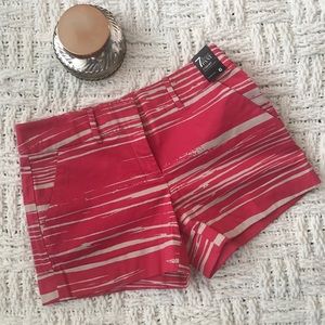 New York & Company Shorts - FINAL SALE
